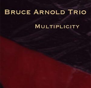 multiplicity CD by Guitarist Bruce Arnold
